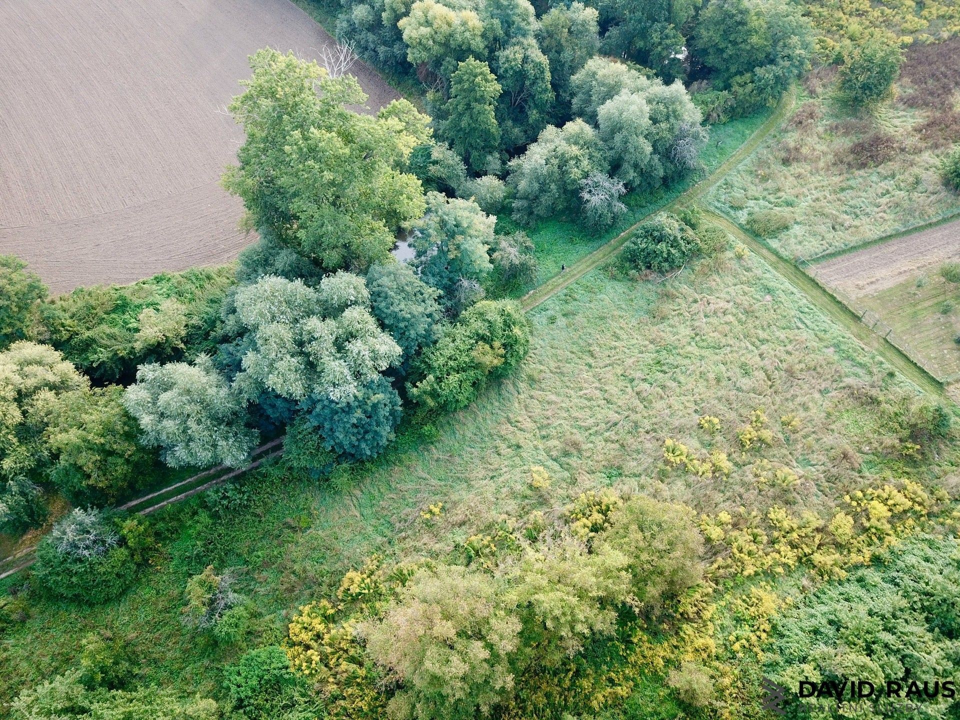 Prodej zahrada - Rajhrad, 1 080 m²