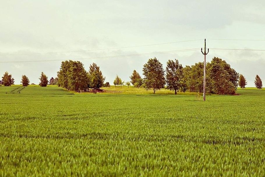 Prodej pozemek pro bydlení - Radim u Kolína, 281 03, 2 000 m²