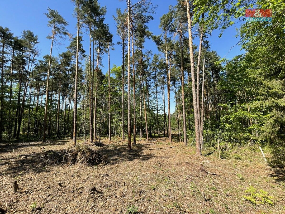 Lesy, Boršov nad Vltavou, 373 82, 23 035 m²