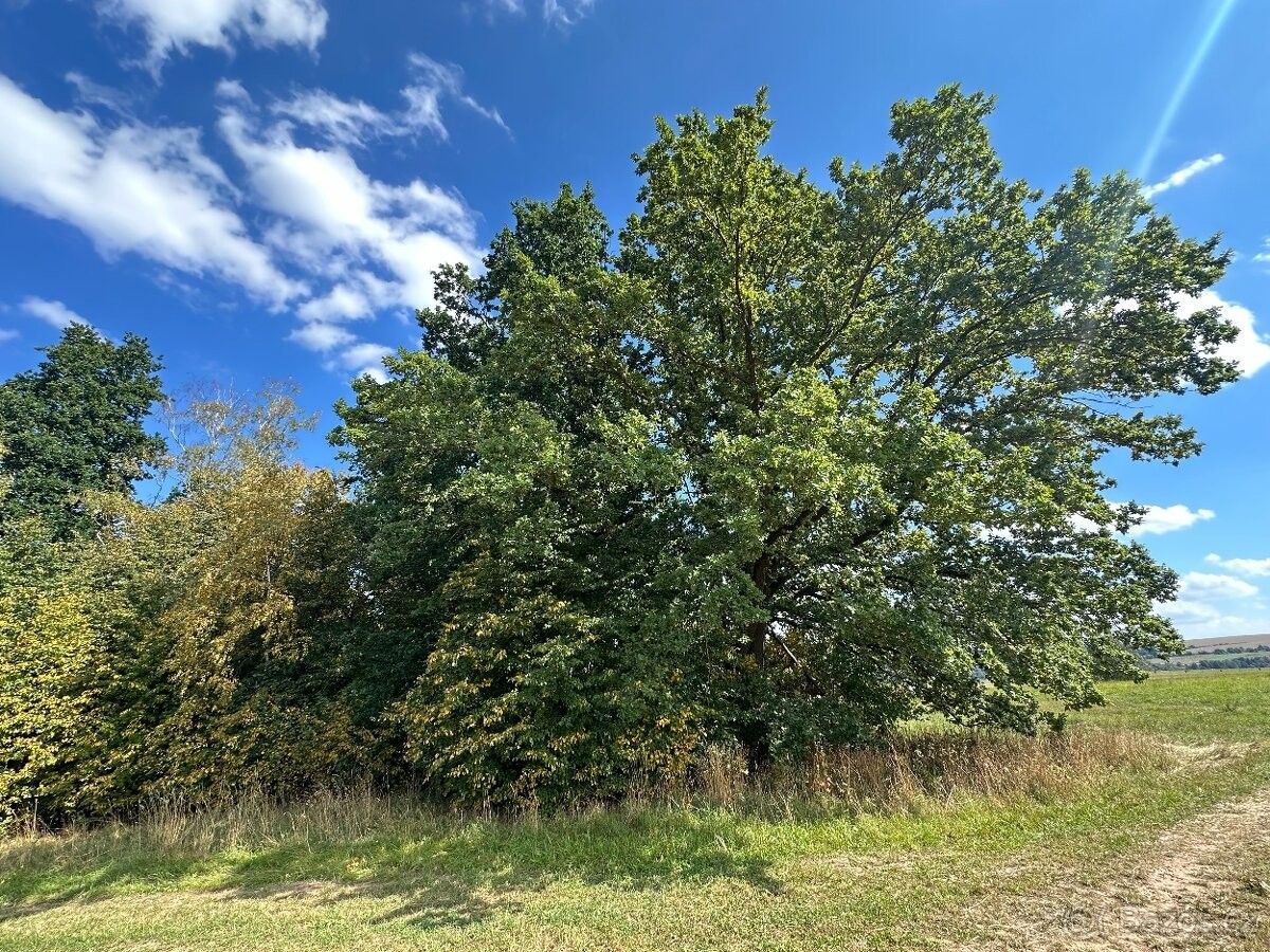 Pozemky pro bydlení, Broumov, 550 01