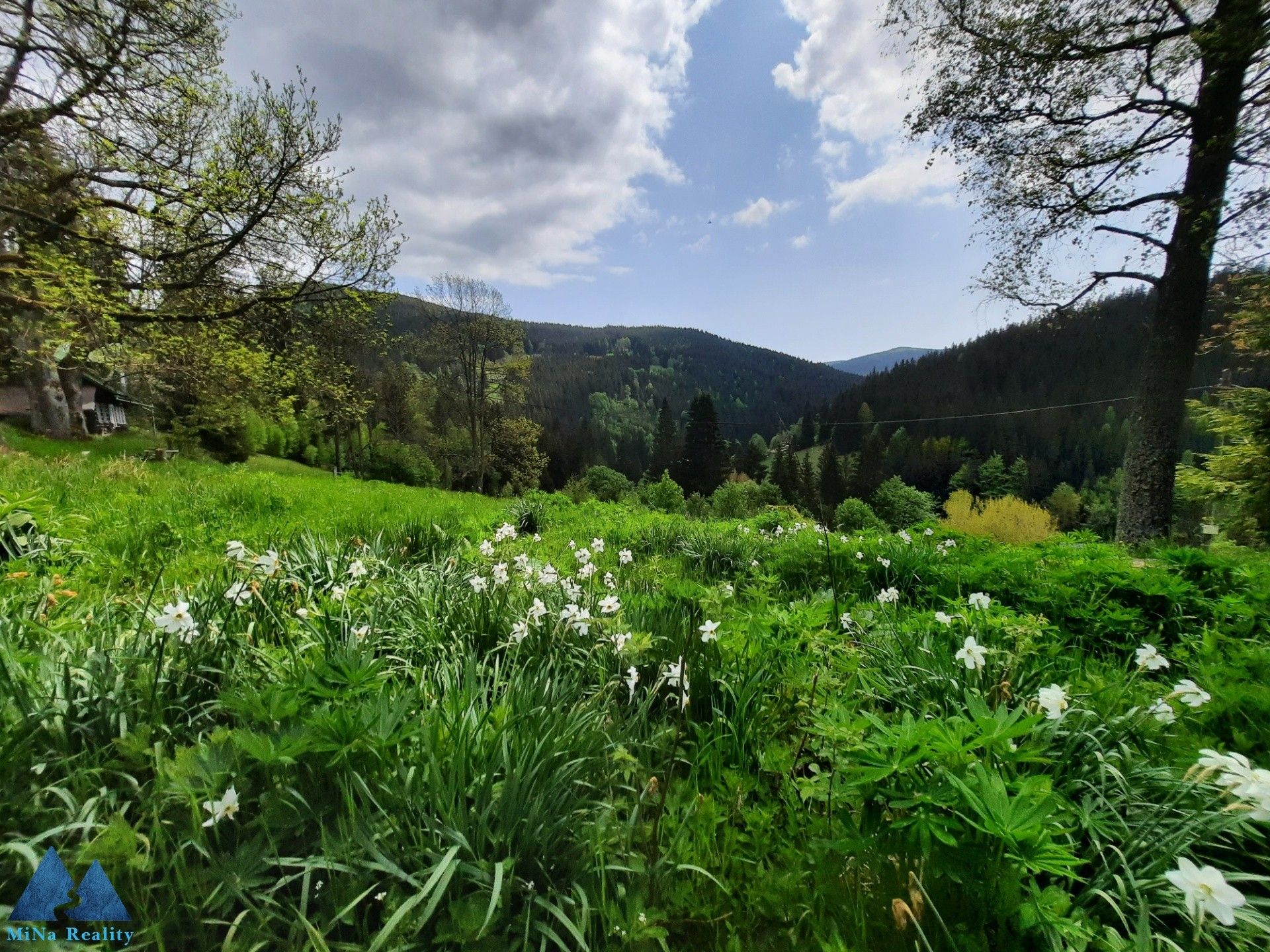 Prodej chalupa - Přední Labská, Špindlerův Mlýn, 250 m²