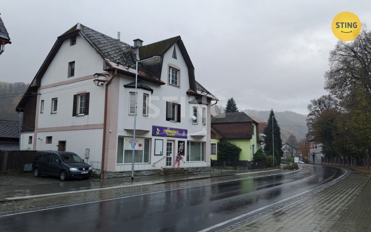 Vily, Hlavní, Hanušovice, 222 m²