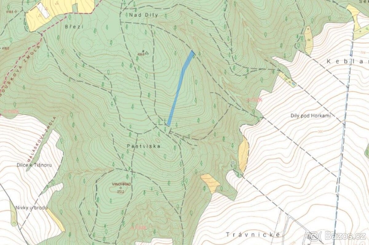 Prodej les - Drásov, 664 24, 7 489 m²