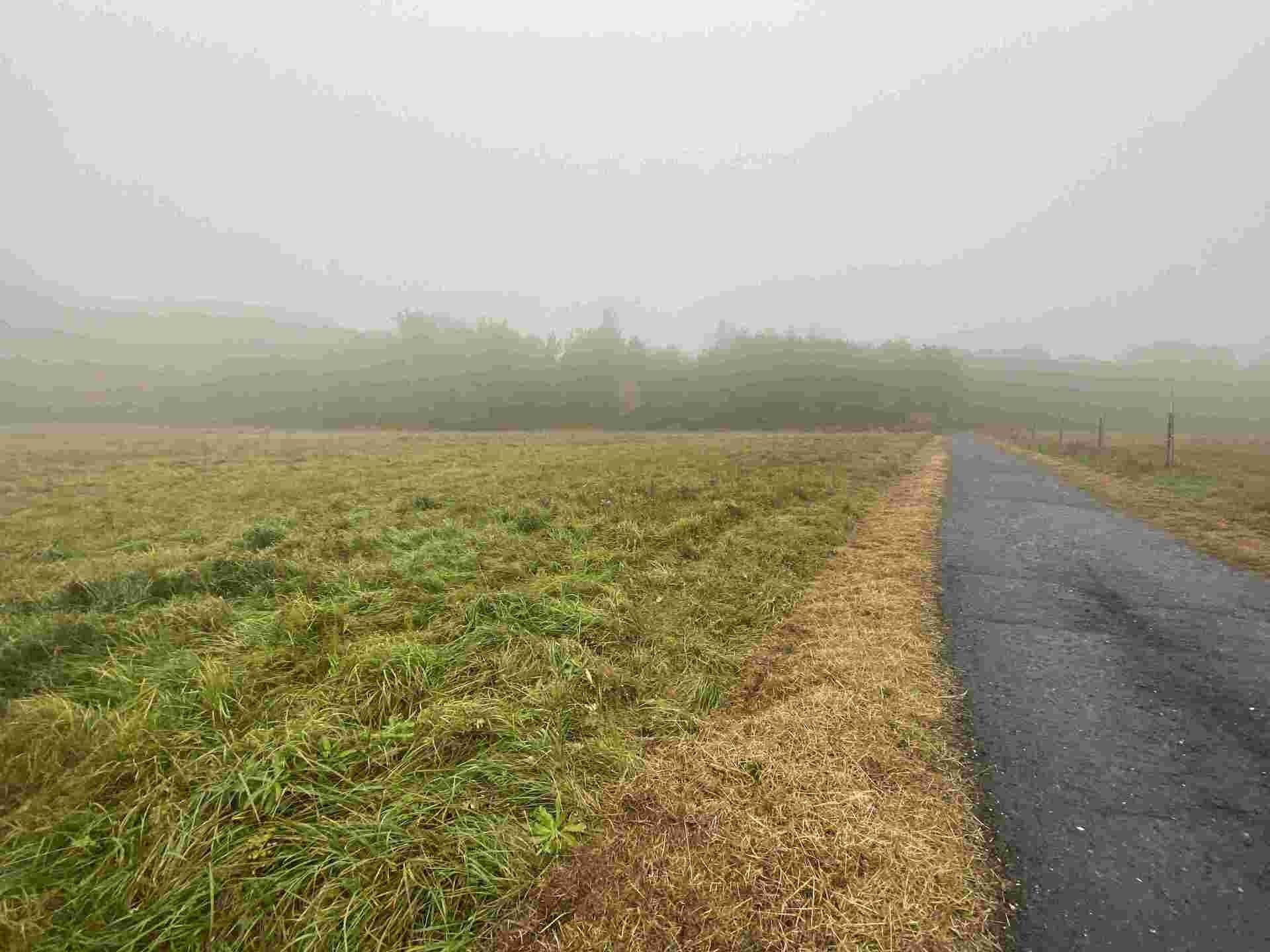 Zemědělské pozemky, Verneřice, 22 m²