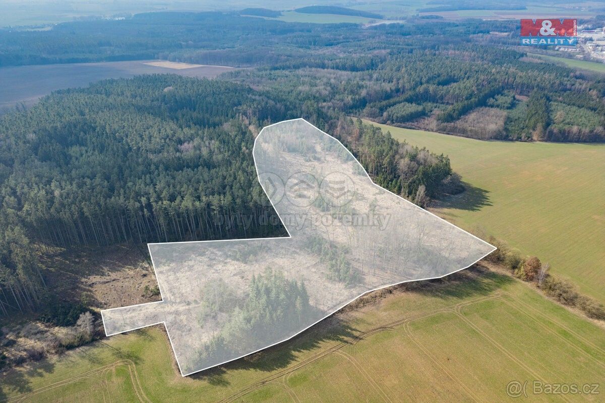 Prodej les - Chlumčany u Přeštic, 334 42, 43 766 m²