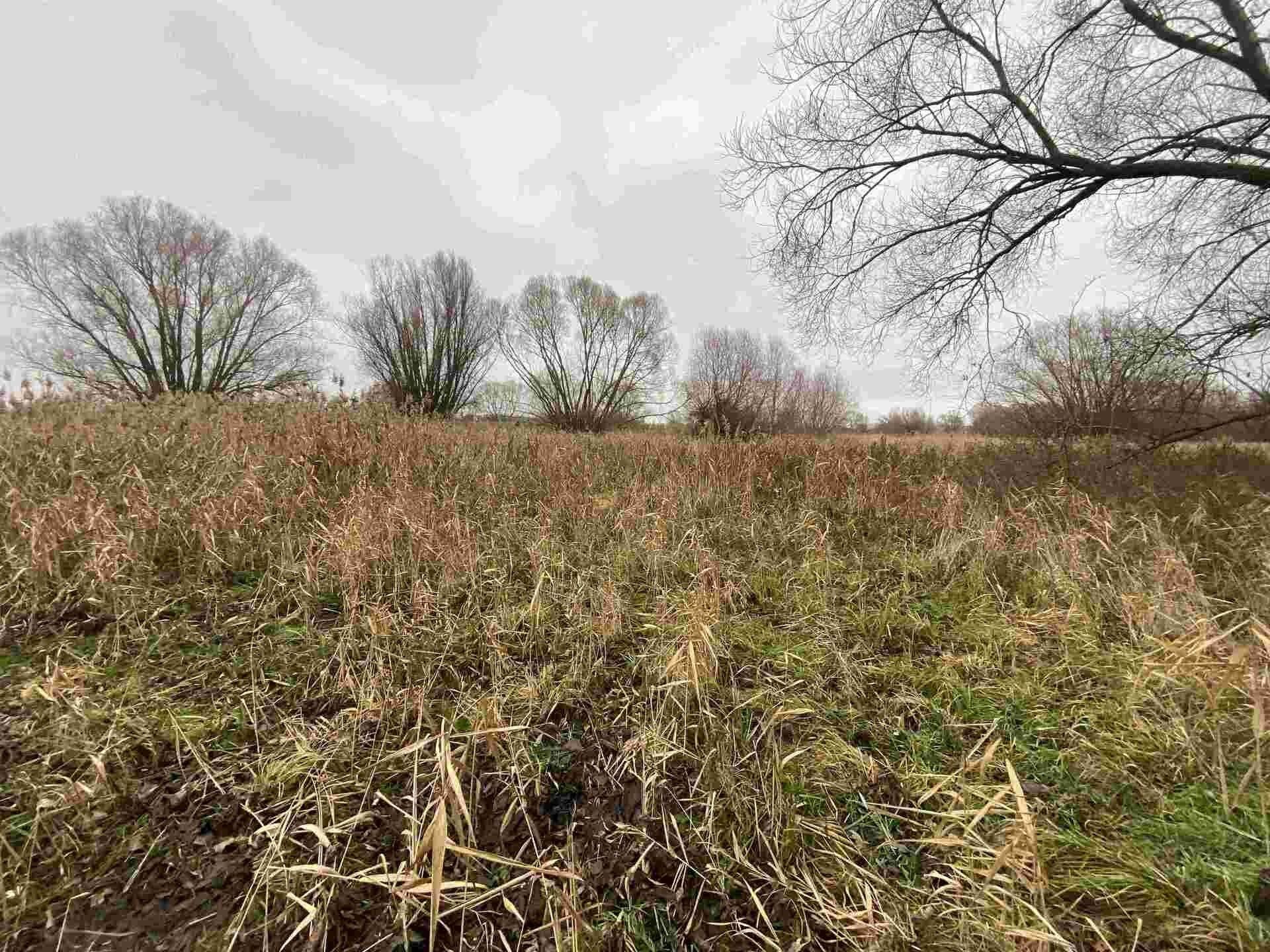 Ostatní, Křenovice, 4 m²