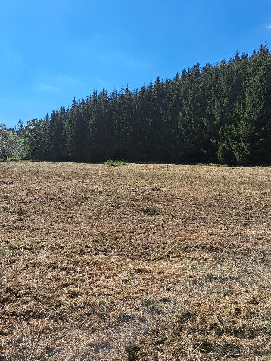 Zemědělské pozemky, Chotěboř, 583 01, 10 500 m²