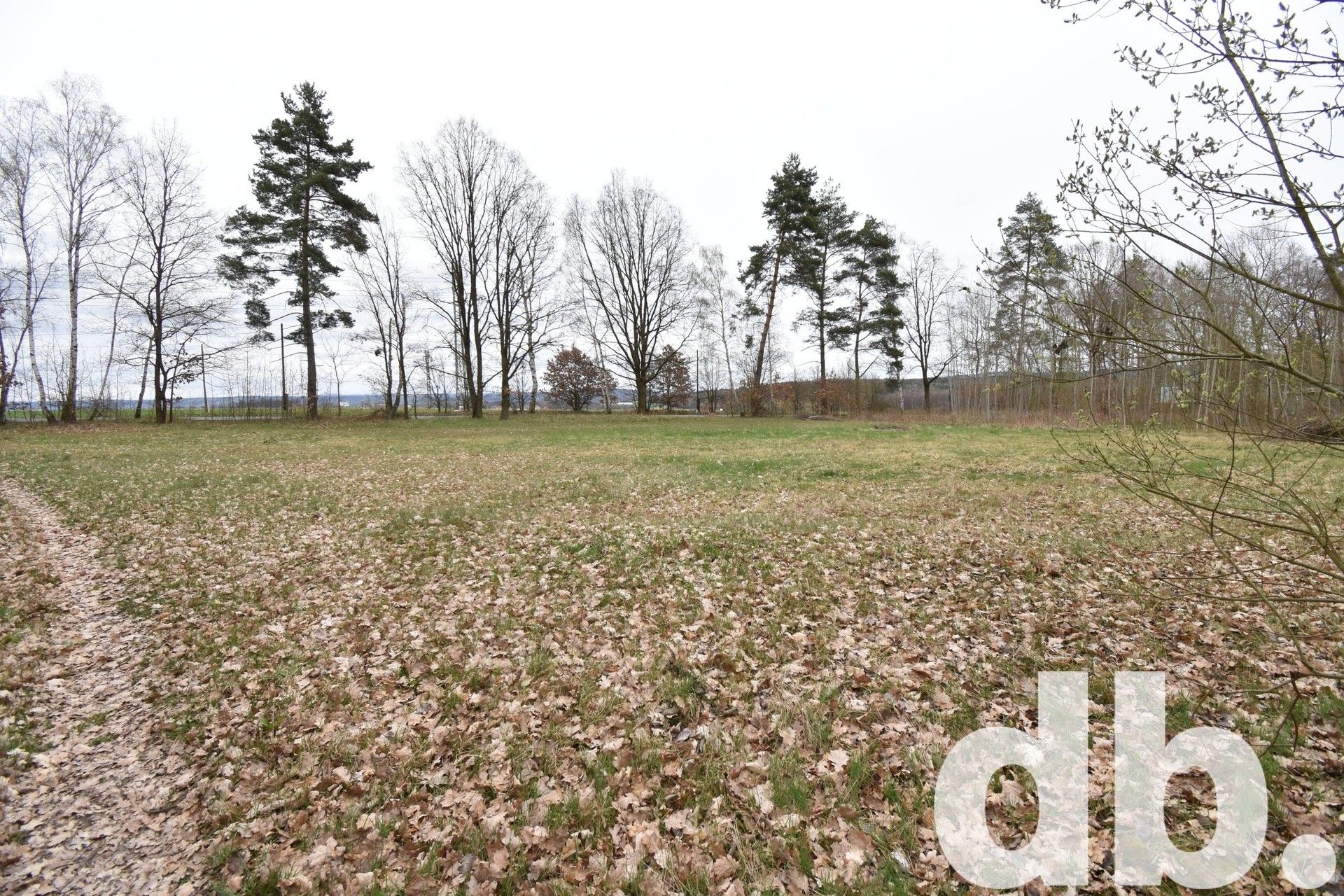 Prodej komerční pozemek - Dřenice, Cheb