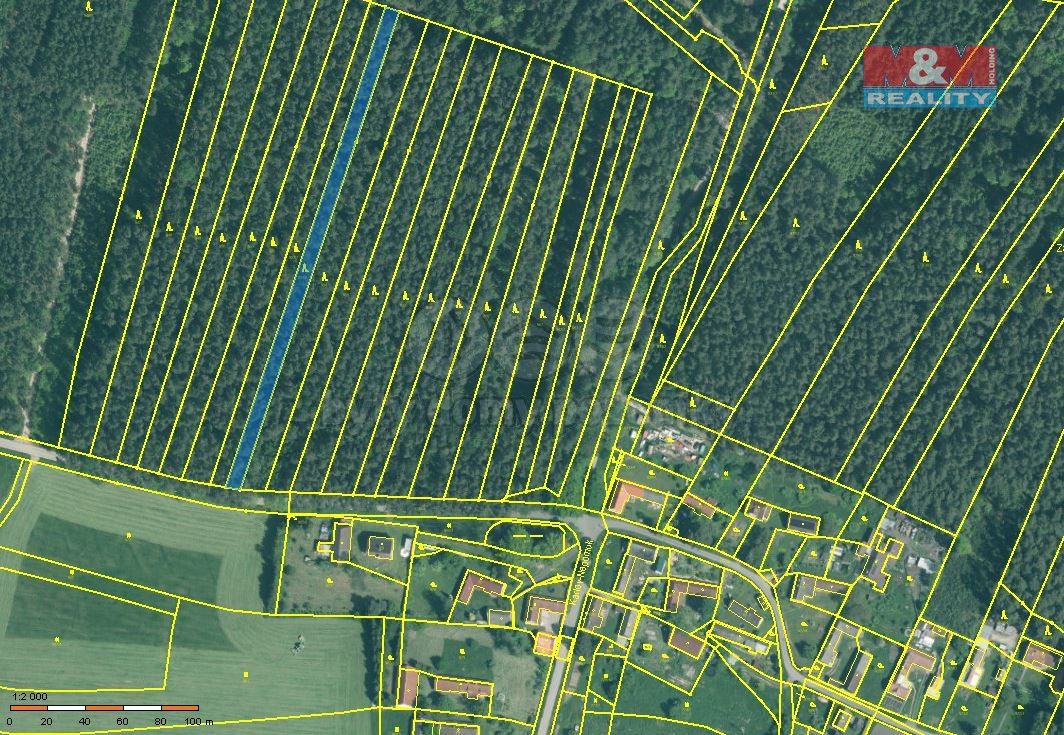 Prodej les - Týn nad Vltavou, 375 01, 2 085 m²