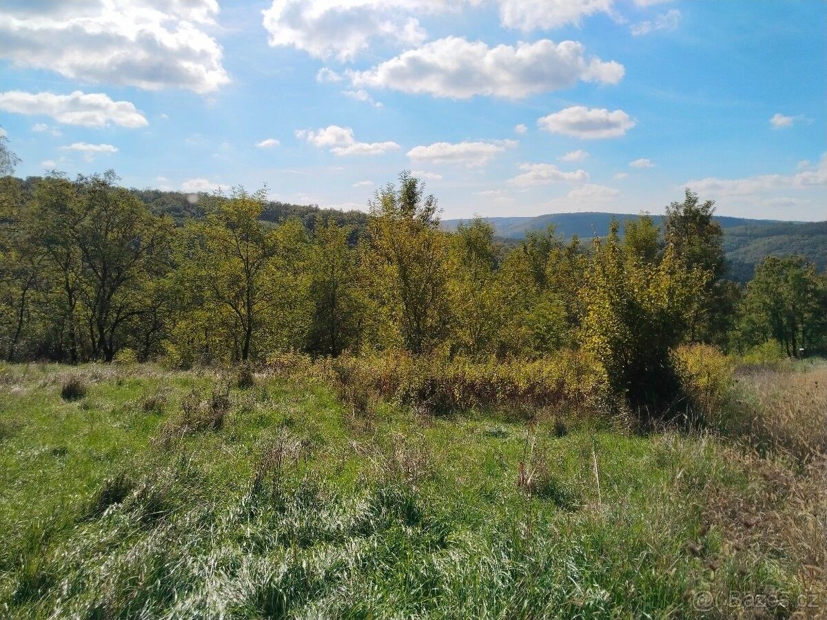 Prodej zemědělský pozemek - Zastávka u Brna, 664 84, 3 700 m²