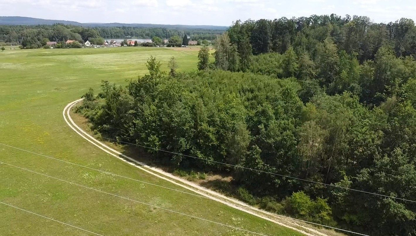 Zemědělské pozemky, Žíteč, Chlum u Třeboně, 80 m²