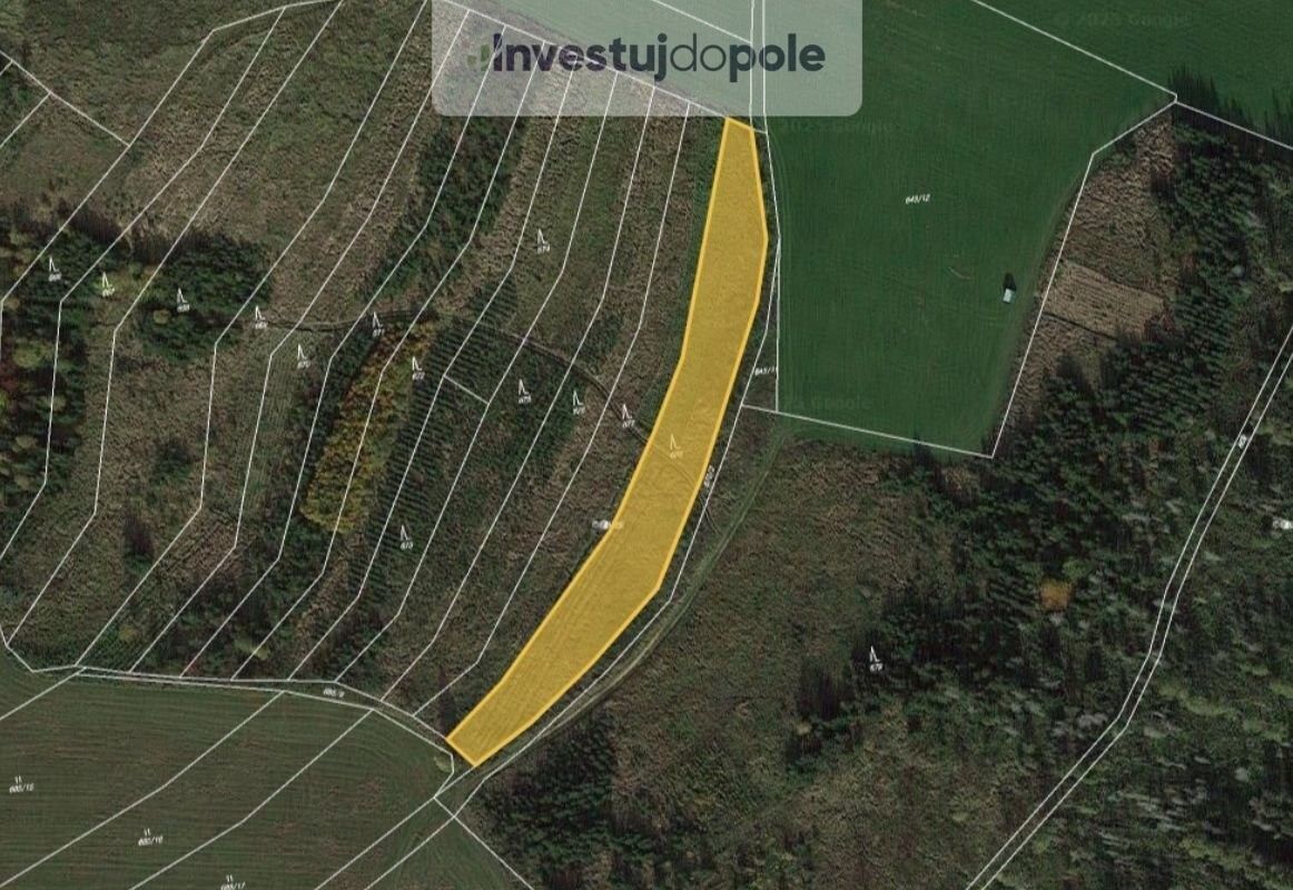 Prodej les - Dačice, 380 01, 3 345 m²