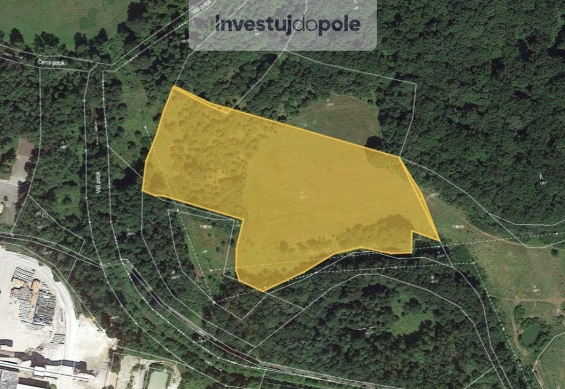 Prodej louka - Nová Role, 362 25, 6 450 m²