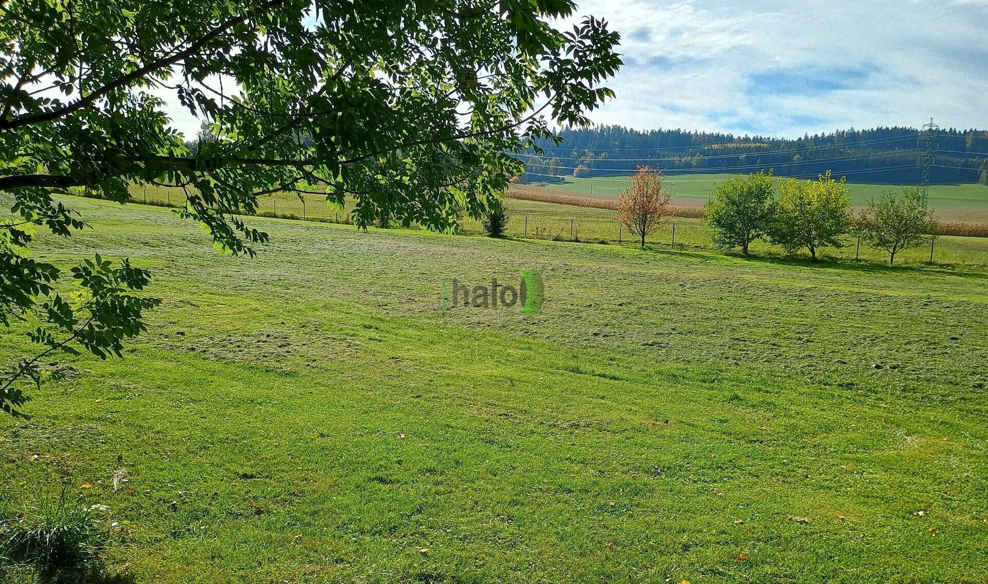 Prodej pozemek pro bydlení - Zahrádka, Mirkovice, 3 200 m²