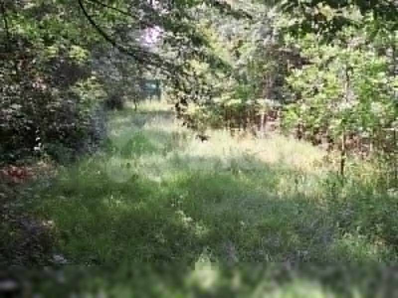 Prodej zahrada - Brno