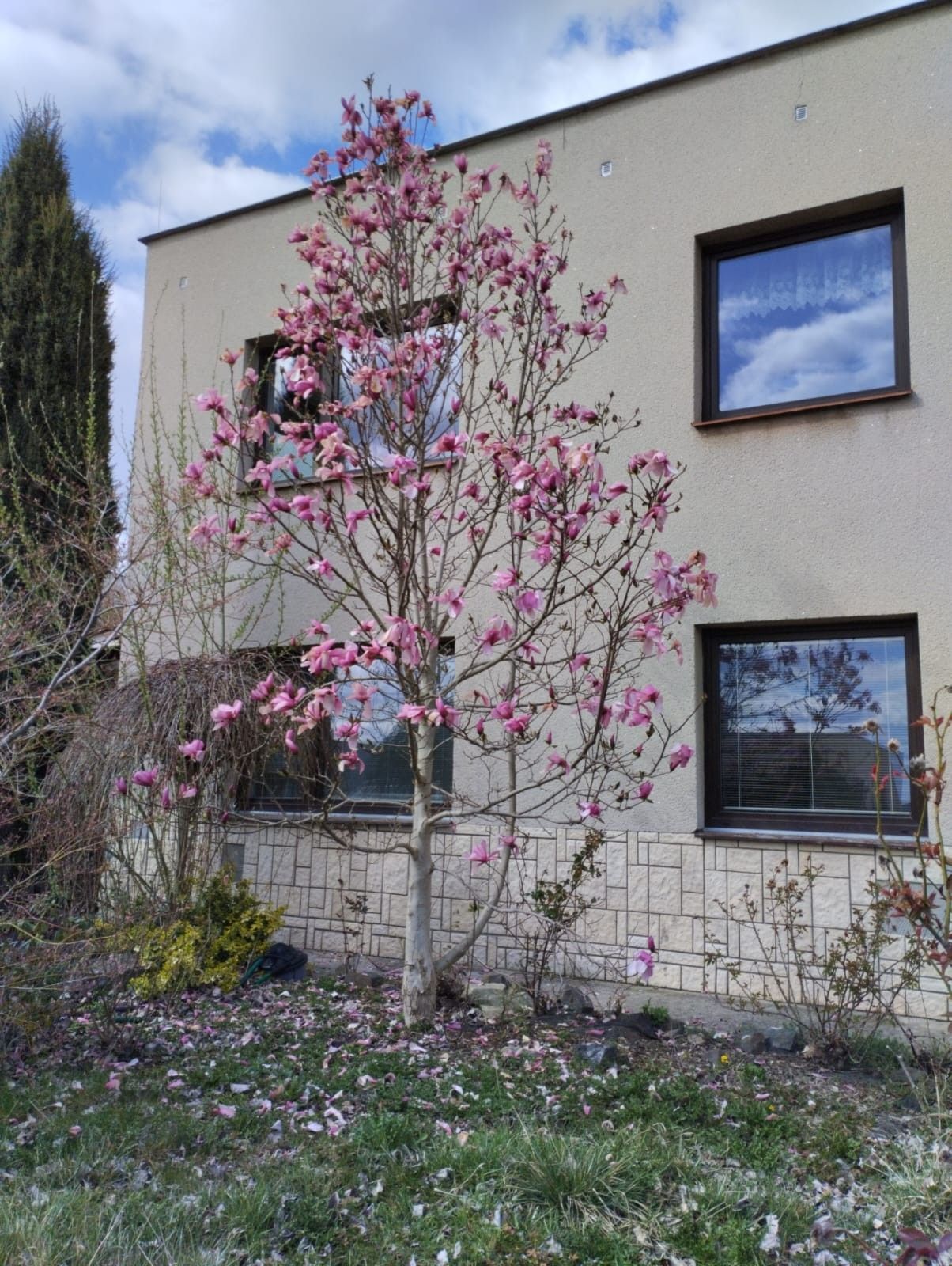 Prodej rodinný dům - Pod Oborou, Kosmonosy, 257 m²