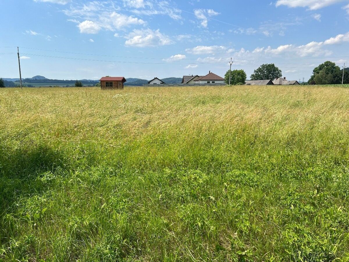 Prodej pozemek pro bydlení - Letohrad, 561 51, 4 120 m²