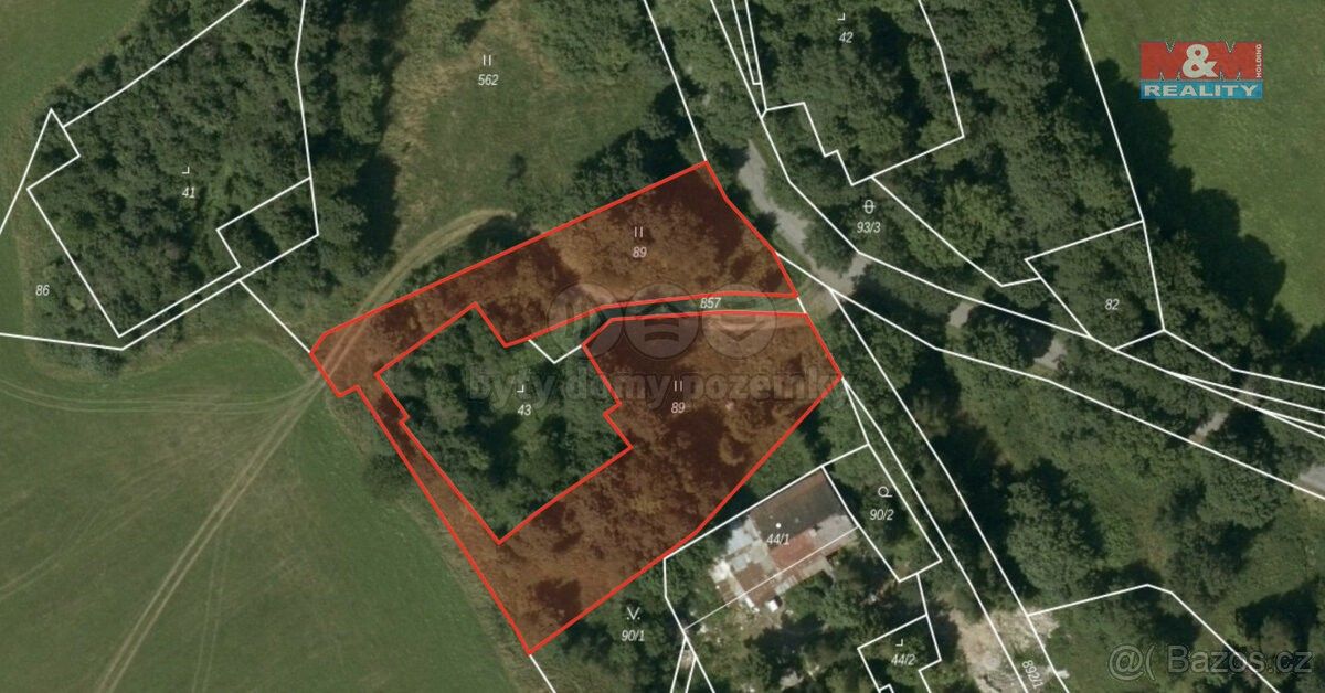 Prodej pozemek - Dvorce u Bruntálu, 793 68, 2 894 m²