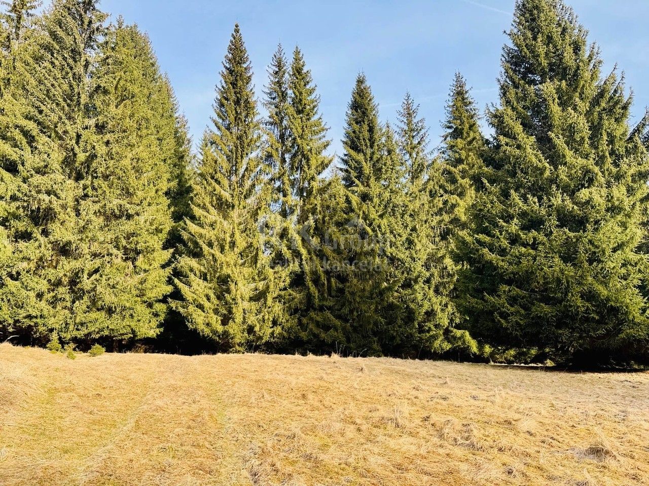 Prodej pozemek pro bydlení - Lazy, Lázně Kynžvart, 406 m²