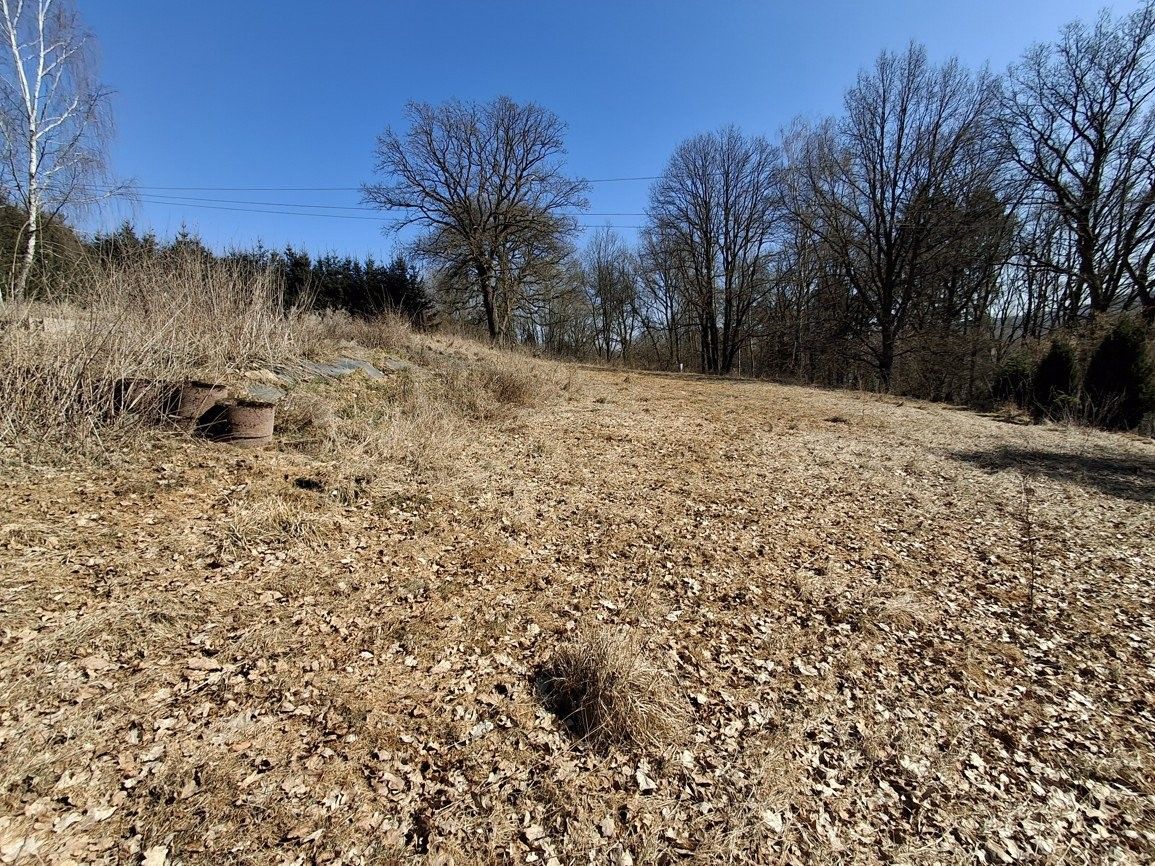 Prodej pozemek pro bydlení - Bříza, Cheb