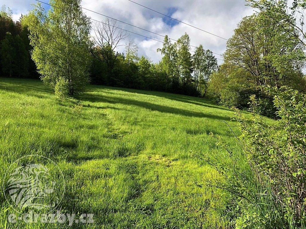 Prodej louka - Šumburk nad Desnou, Tanvald, 3 804 m²