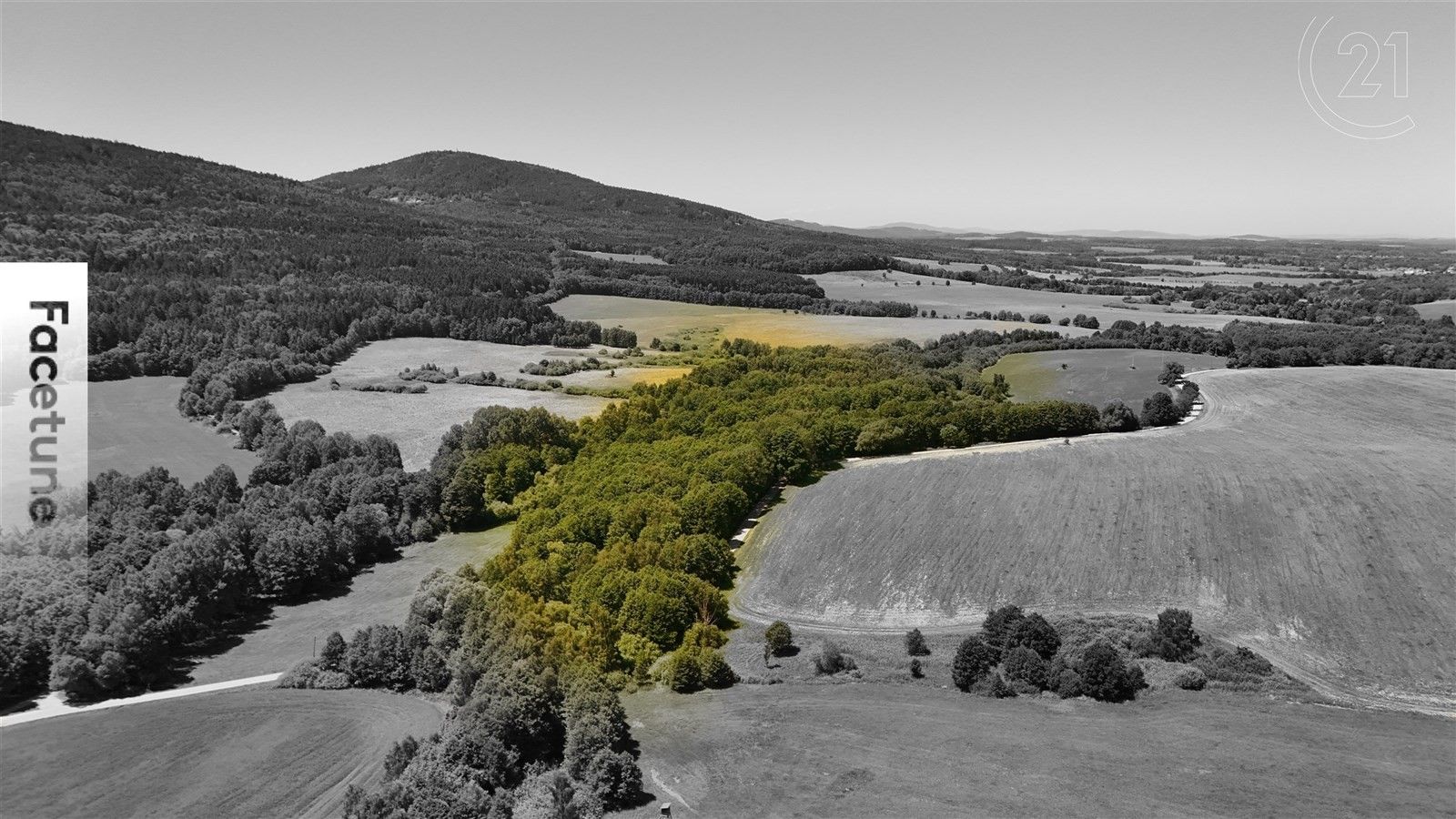 Lesy, Horní Stropnice