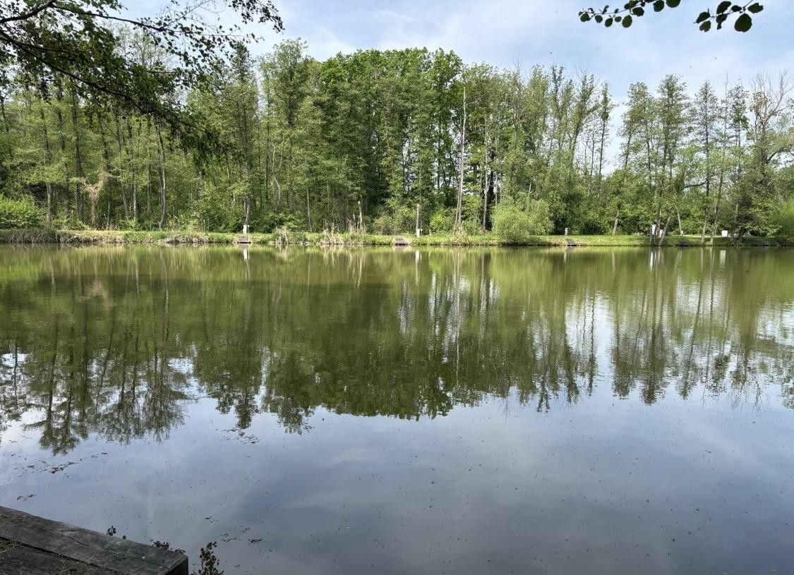 Rybníky, Pardubice VI, Pardubice, 21 421 m²