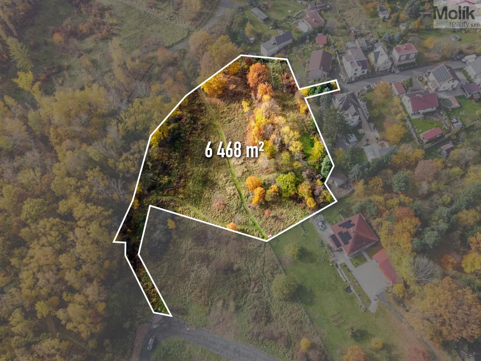 Prodej pozemek pro bydlení - Střelná, Košťany, 6 468 m²