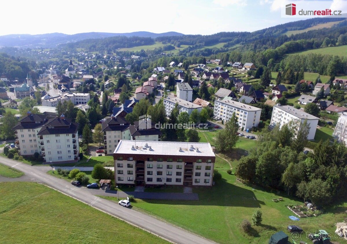 Prodej byt 1+1 - Rokytnice nad Jizerou, 512 44, 25 m²