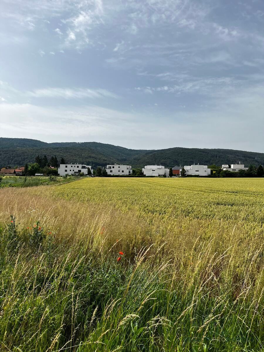 Prodej zemědělský pozemek - Lety, 5 417 m²