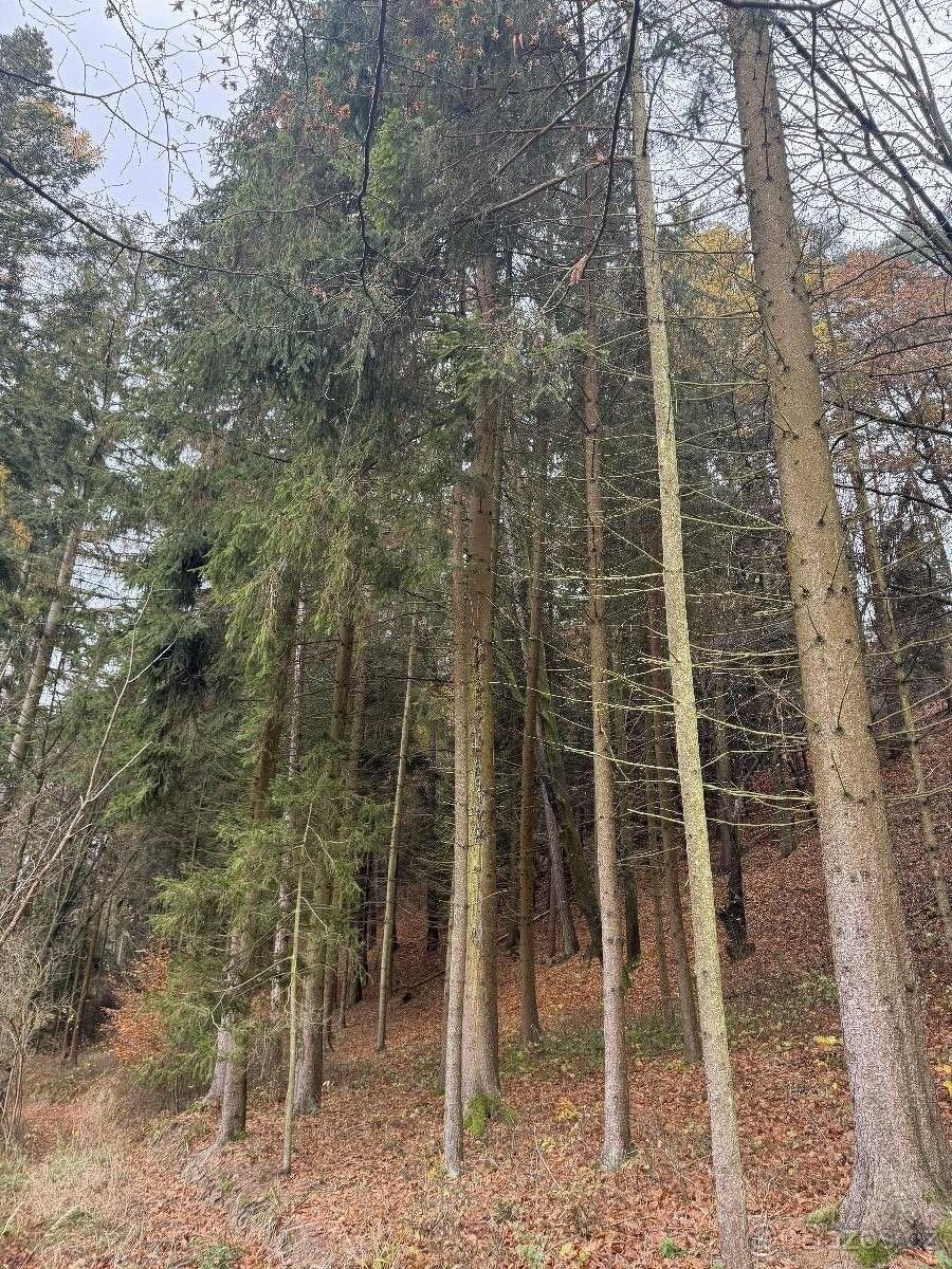 Prodej pozemek pro bydlení - Slavětín u Litovle, 783 24