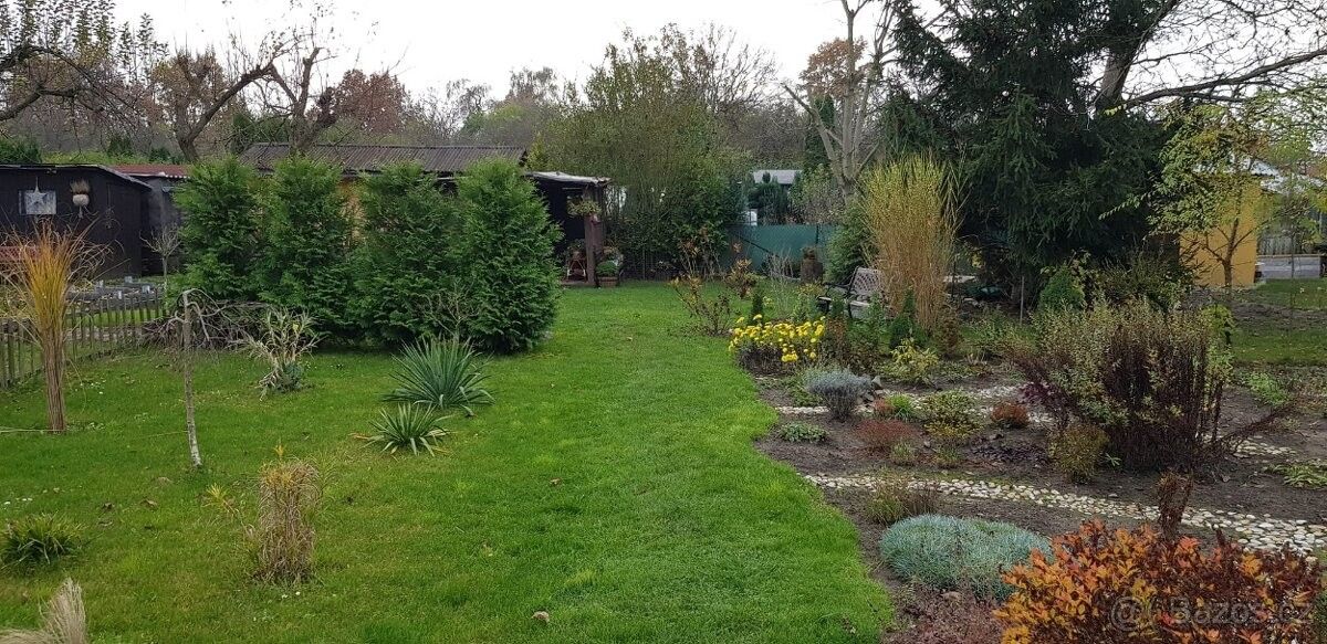 Zahrady, Rybitví, 533 54