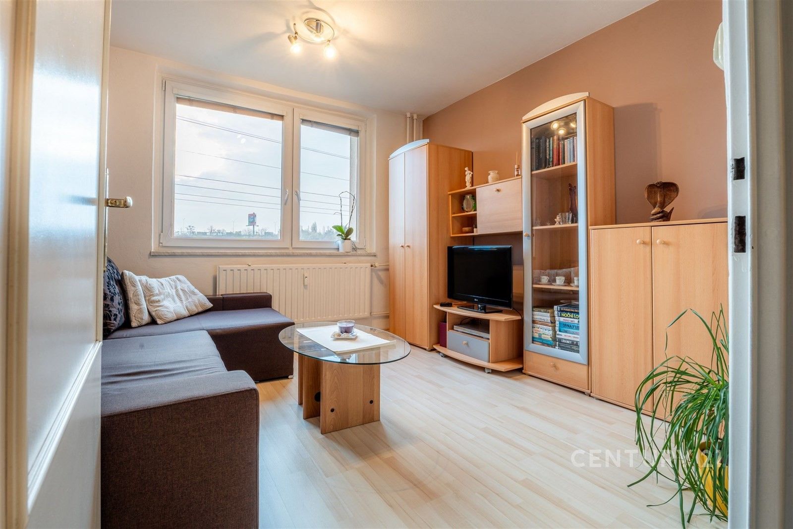 3+1, Turgeněvova, Brno, 73 m²