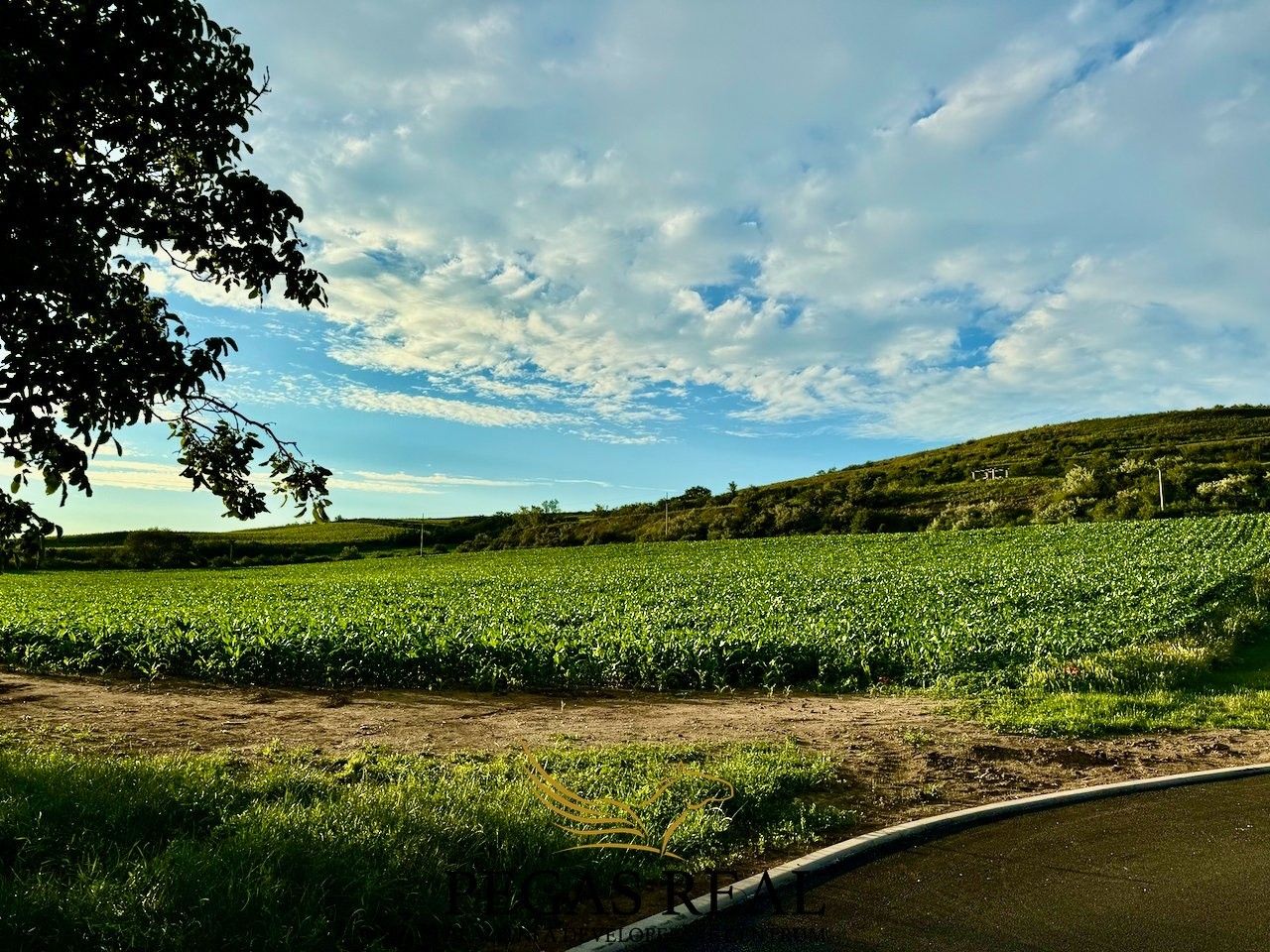 Pozemky pro bydlení, Přítluky, 6 000 m²