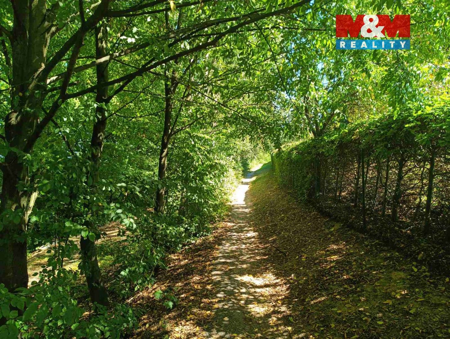 Prodej chata - Rychnov nad Kněžnou, 25 m²