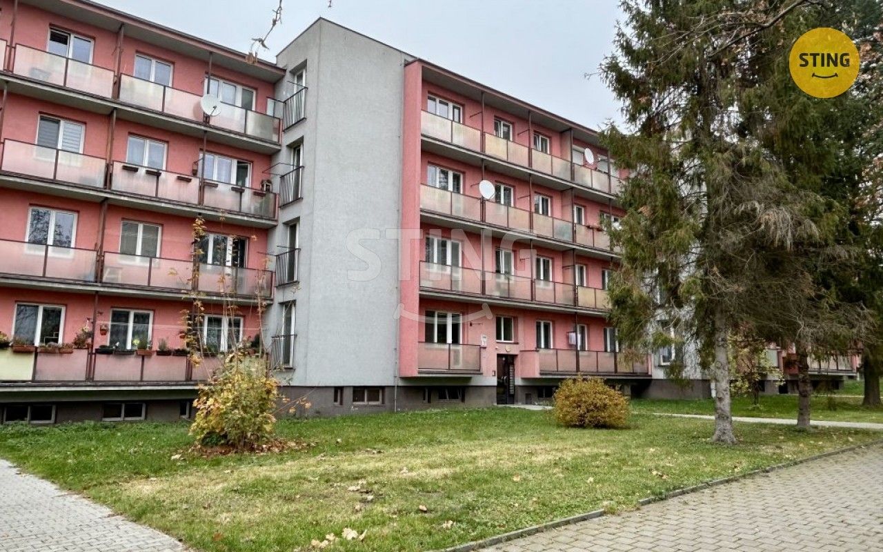 Pronájem byt 1+kk - Hranice, Karviná, 25 m²