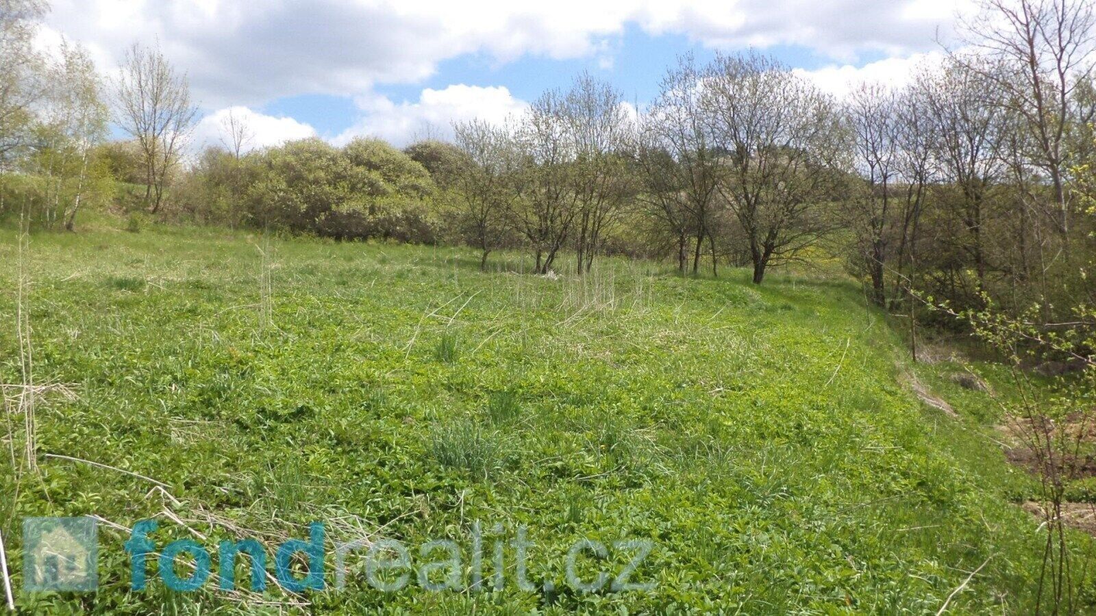 Prodej pozemek - Budišov nad Budišovkou, 11 087 m²