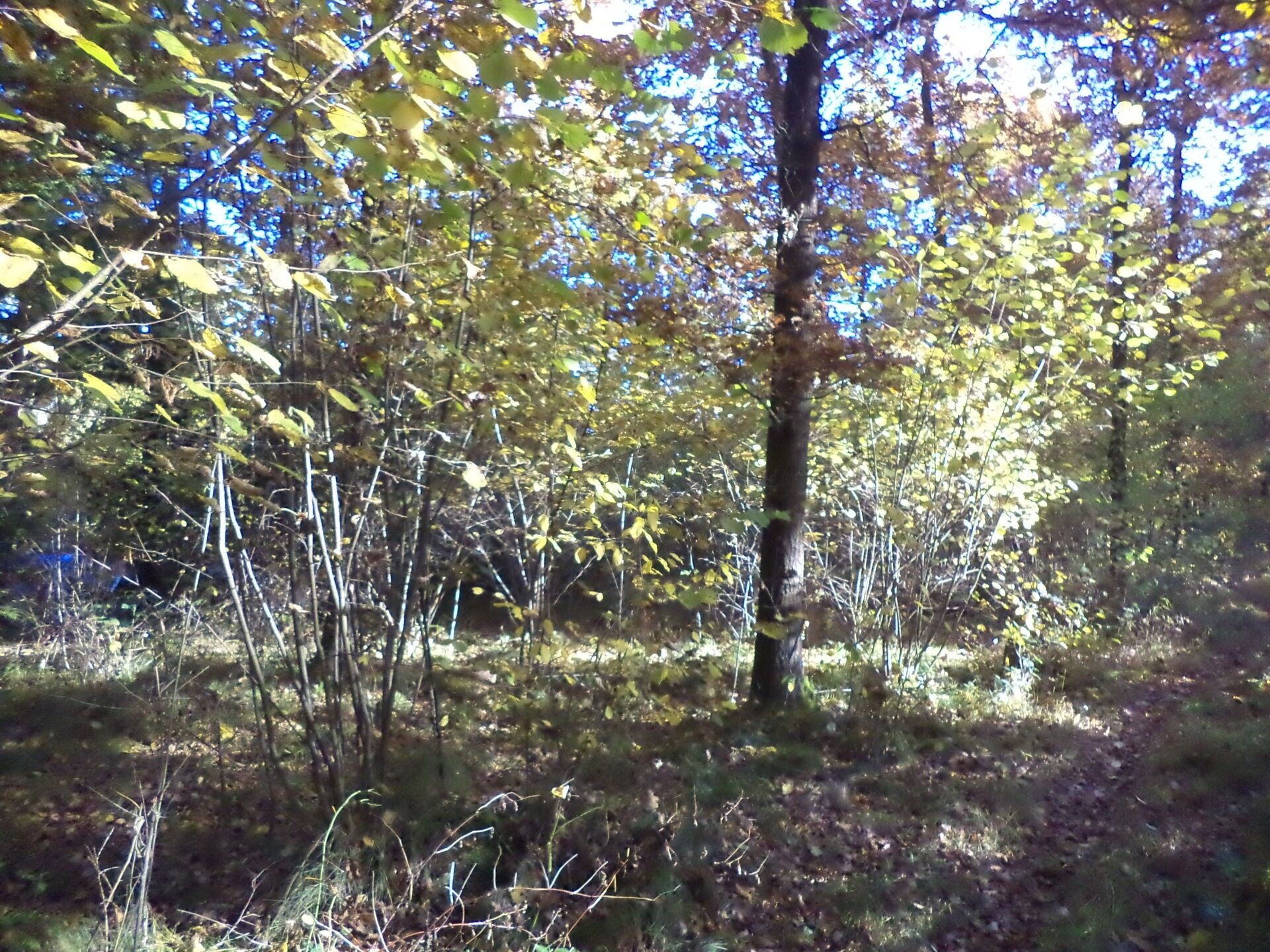 Ostatní, Dolní Stropnice, Římov, 2 m²