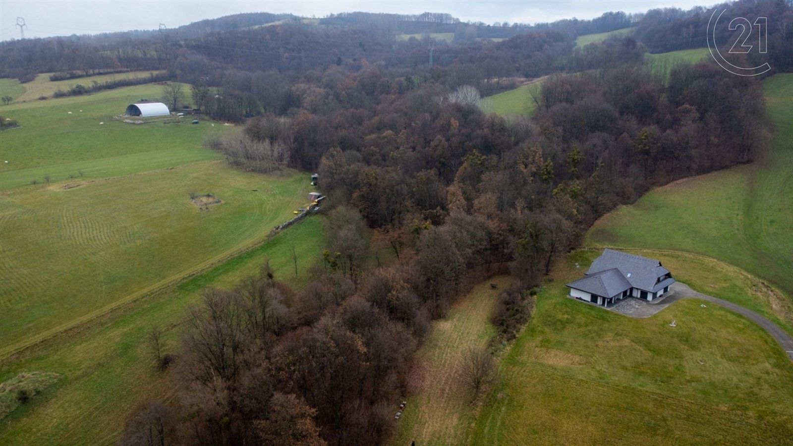 Lesy, Žilina, Nový Jičín