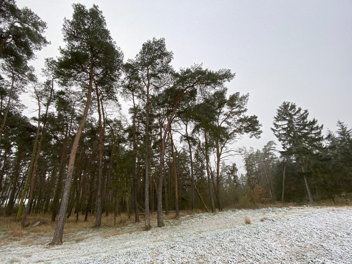 Lesy, Čistá u Rakovníka, 270 34, 672 m²