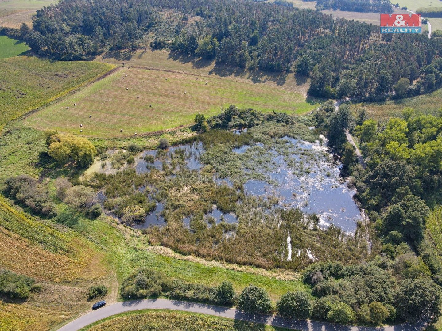 Prodej rybník - Zvírotice, Dublovice