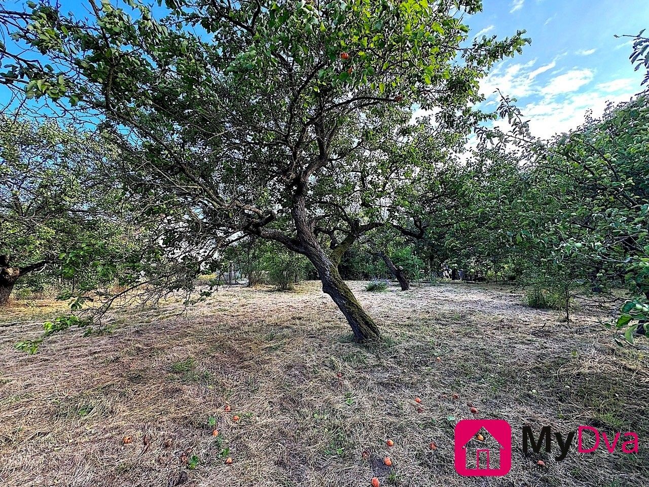 Pozemky pro bydlení, Znojmo, 1 465 m²