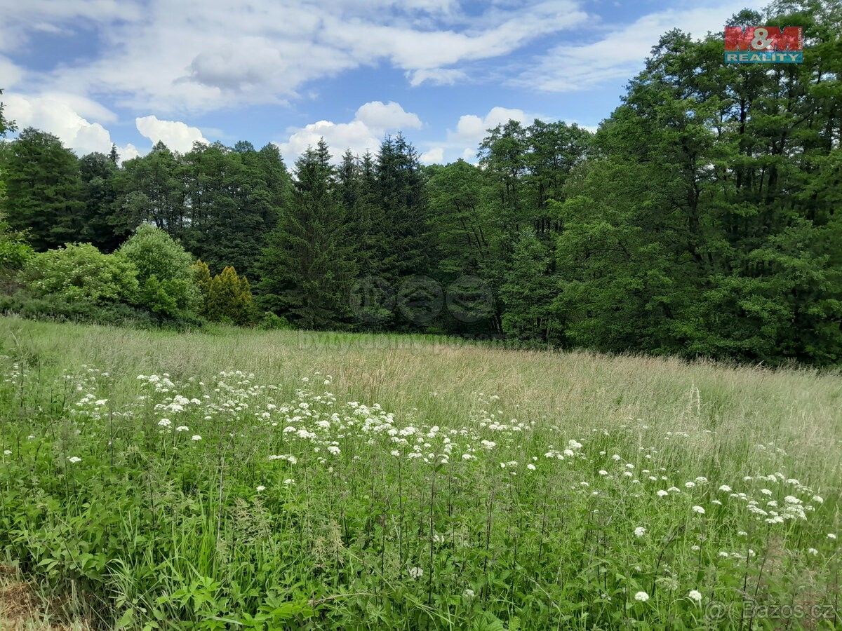 Prodej zemědělský pozemek - Nepomuk, 335 01, 19 732 m²