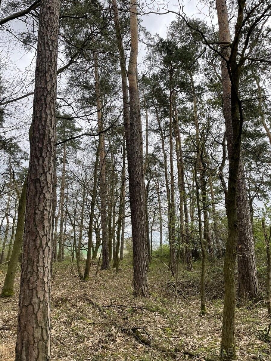 Pozemky pro bydlení, Plzeň, 326 00