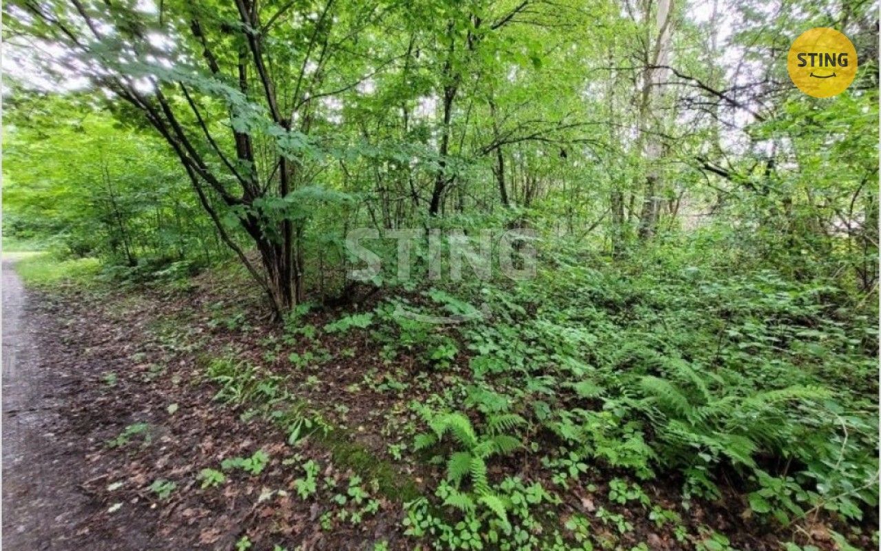 Zahrady, Město, Orlová, 541 m²