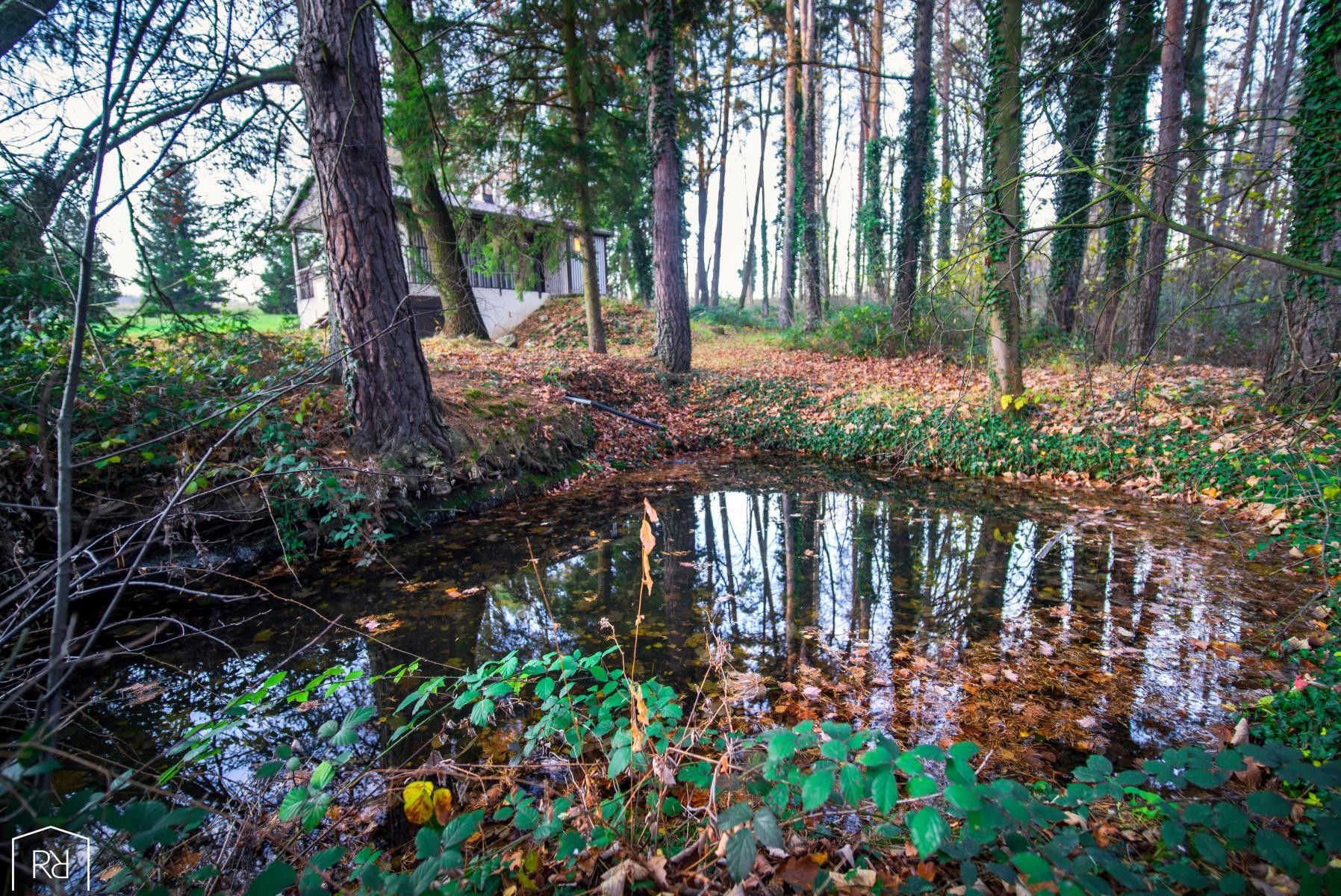 Prodej chata - Radlín, Heřmanův Městec, 55 m²