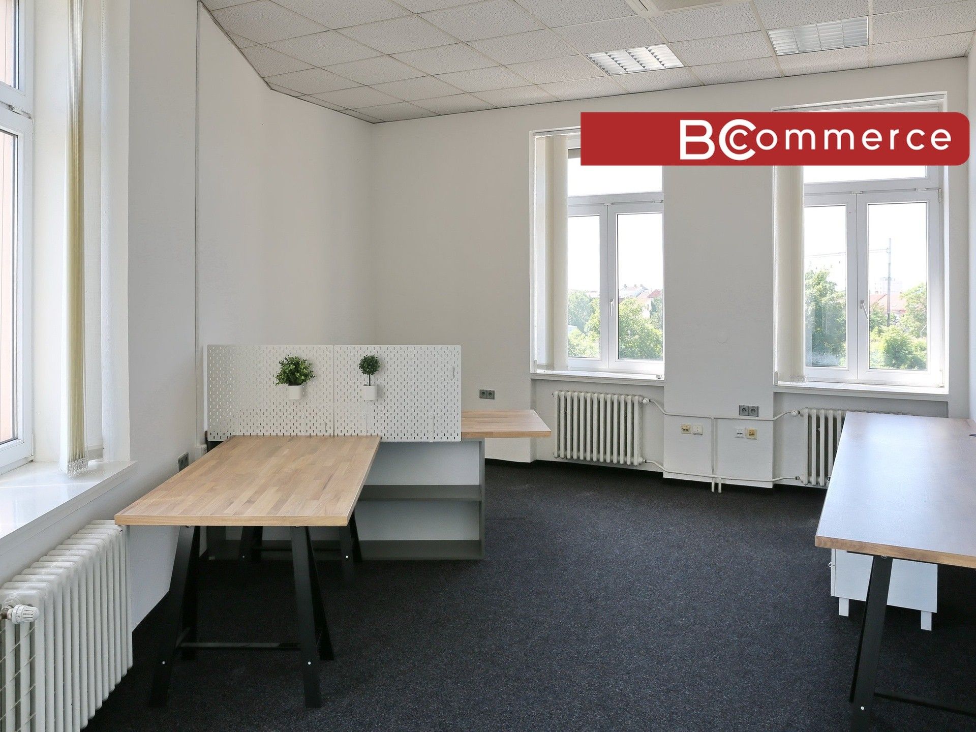 Pronájem kancelář - Olomoucká, Brno, 207 m²