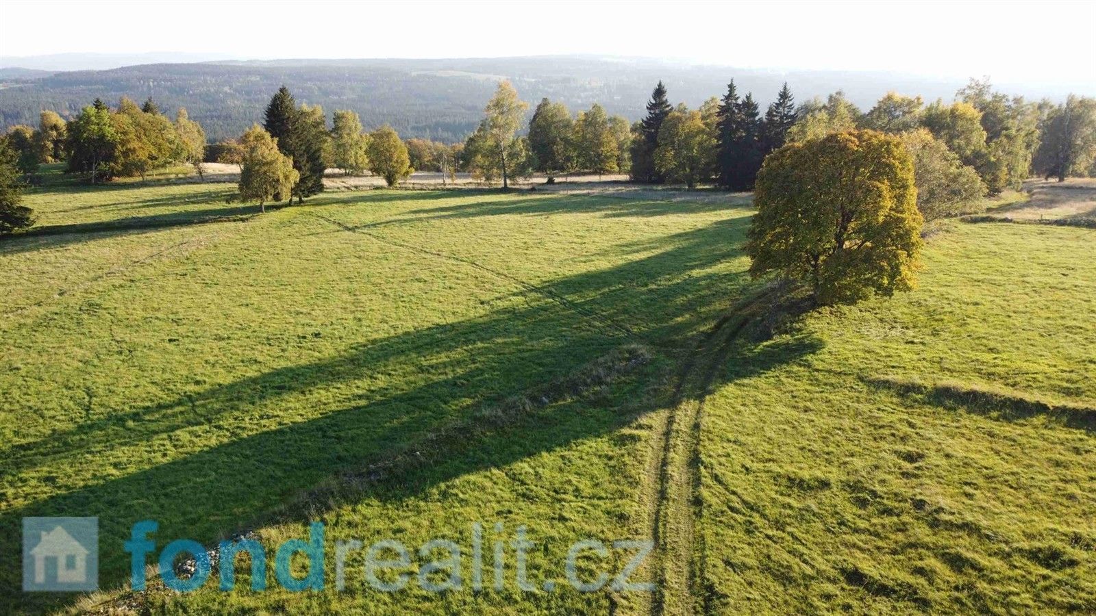 Zemědělské pozemky, Šindelová, 5 003 m²