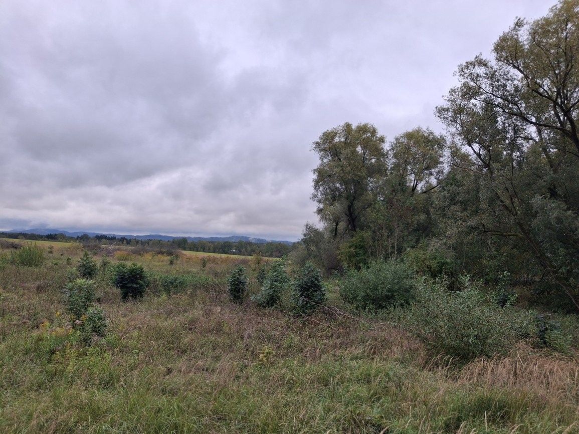 Ostatní, Nejdecká, Chodov