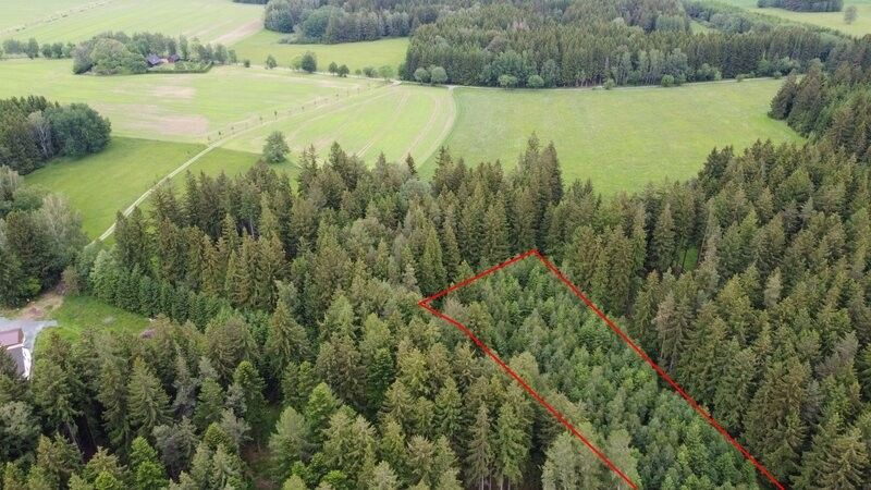 Prodej les - Hlinsko v Čechách, 539 01, 19 588 m²